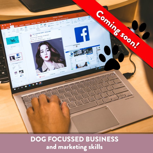 Dog Focussed Business and Marketing Skills