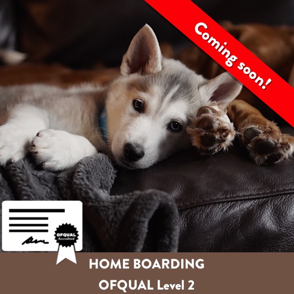 Home Boarding Ofqual Level 2