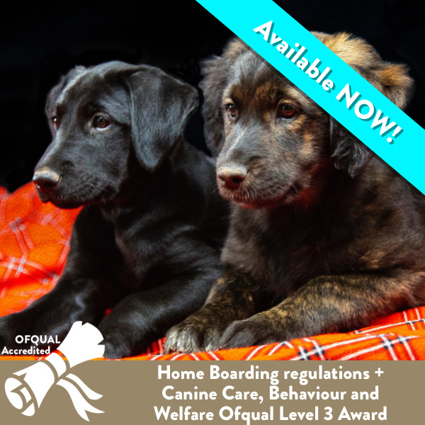 Ofqual Level 3 Award Home Boarding - Practitioner