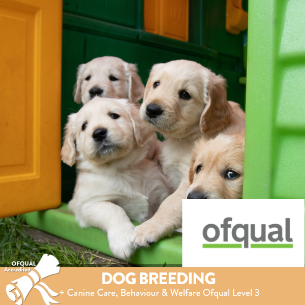 Dog Breeders Practitioners